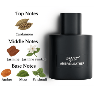 Ambre Leather Eau de Parfum 100ml Brandy Designs  Emarati