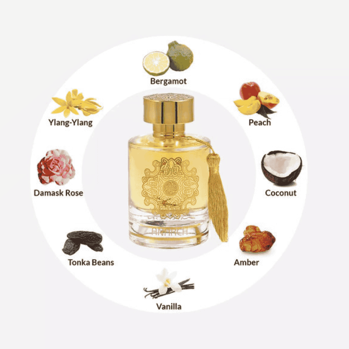 Anarch Eau de Parfum 100ml Maison Alhambra Maison Alhambra