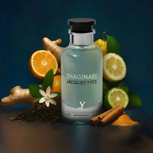Imaginari Jacques Yves 100ml EDP Fragrance World Fragrance World