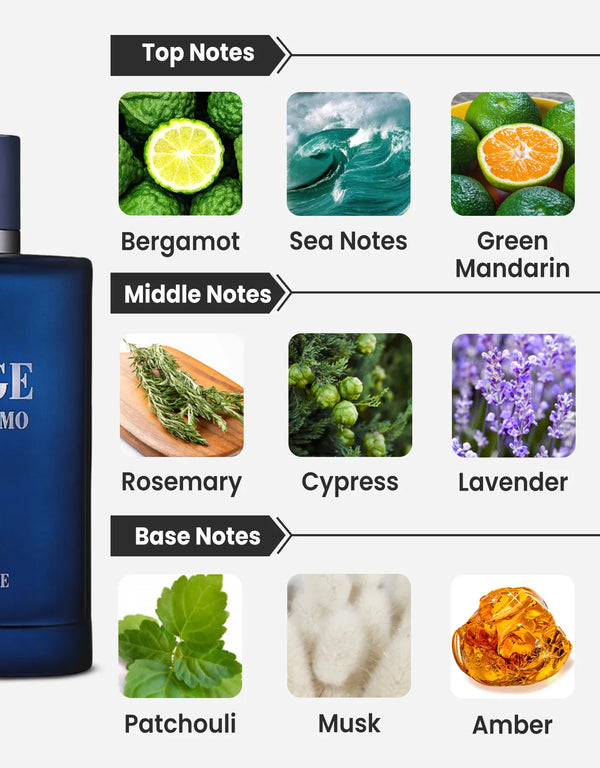 Jorge Di Profumo Deep Blue Eau de Parfum 100ml Maison Alhambra  Emarati
