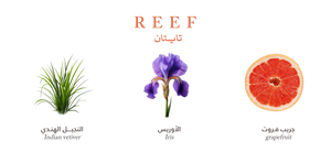 Reef Titan EDP 200ml Reef Perfumes Reef